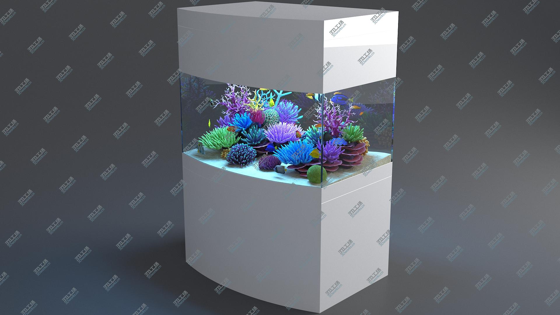 images/goods_img/202104093/Aquarium 07 3D/4.jpg